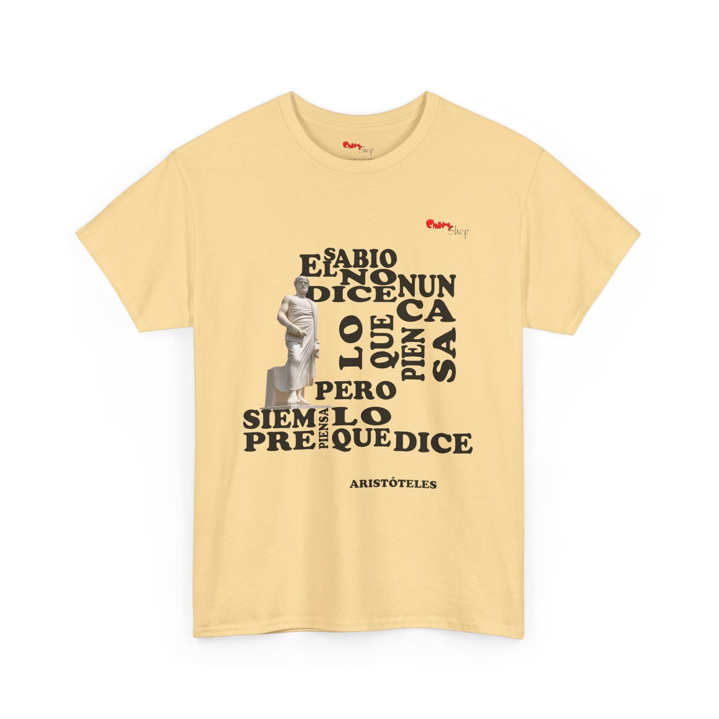 T-Shirt - Aristotle - The Wise Man